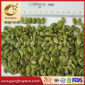 Hot Sale Shine Skin Pumpkin Seed Kernels From Guanghua 2020 New Crop